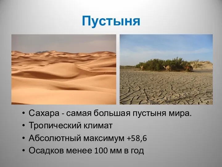Пустыня Сахара - самая большая пустыня мира. Тропический климат Абсолютный максимум