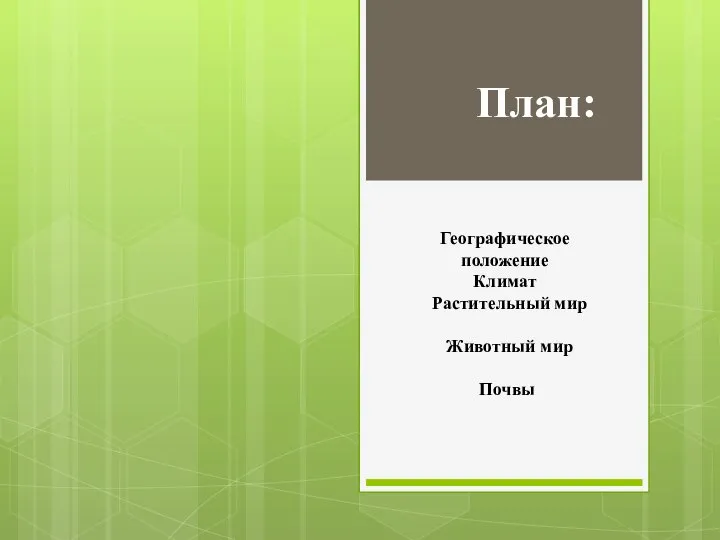 Географическое положение Климат Растительный мир Животный мир Почвы План: