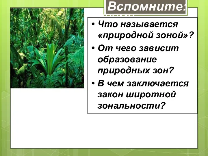 Вспомните: Что называется «природной зоной»? От чего зависит образование природных зон?