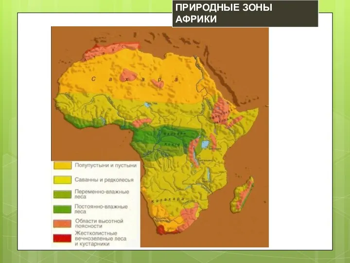 ПРИРОДНЫЕ ЗОНЫ АФРИКИ