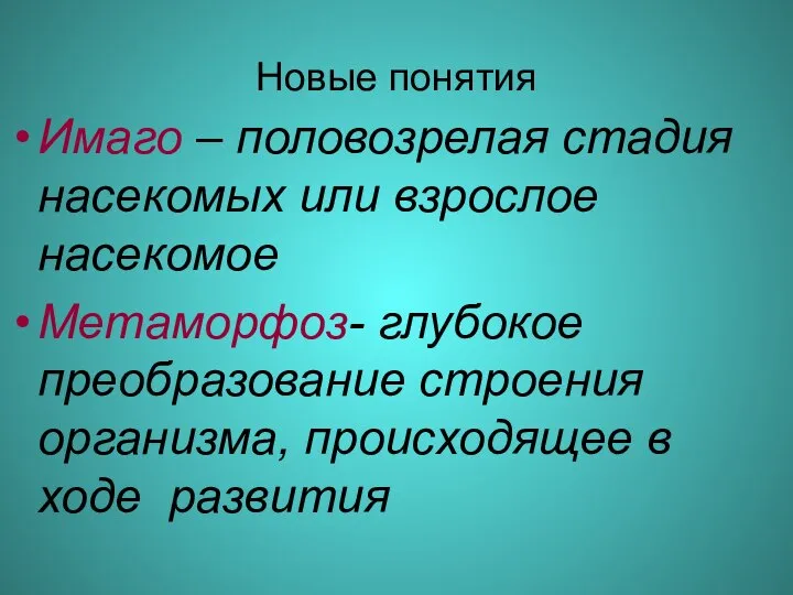 Новые понятия Имаго – половозрелая стадия насекомых или взрослое насекомое Метаморфоз-