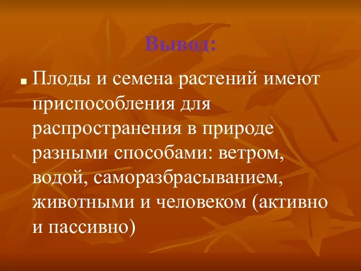 Вывод: Плоды и семена растений имеют приспособления для распространения в природе