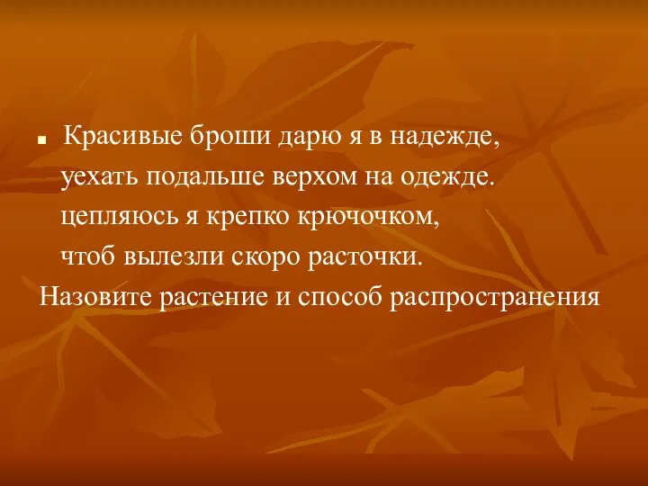 Красивые броши дарю я в надежде, уехать подальше верхом на одежде.