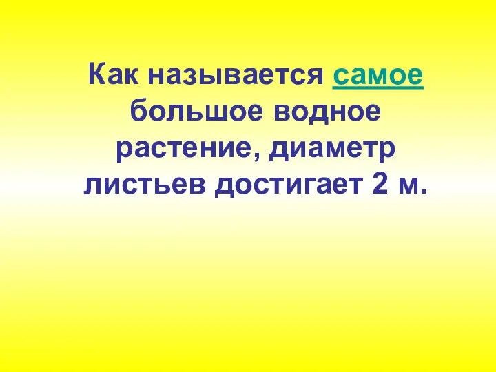 Как называется самое большое водное растение, диаметр листьев достигает 2 м.