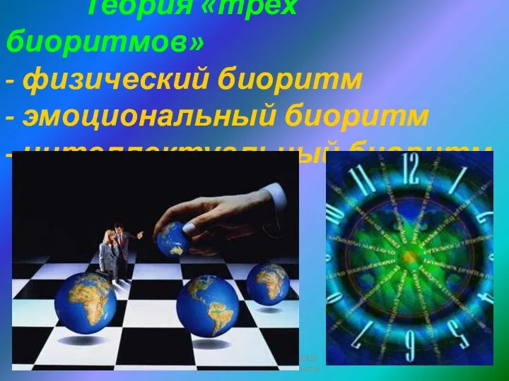 МОУ "Новопоселеновская СОШ" Курского района Курской области Теория «трёх биоритмов» -