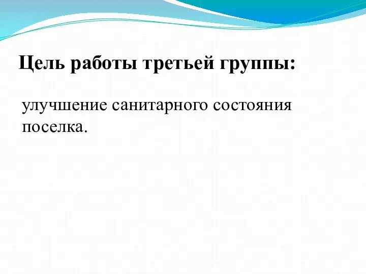 Цель работы третьей группы: улучшение санитарного состояния поселка.