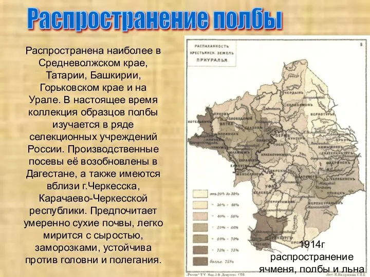 Распространение полбы 1914г распространение ячменя, полбы и льна Распространена наиболее в