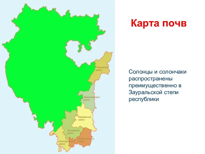 Карта почв Солонцы и солончаки распространены преимущественно в Зауральской степи республики