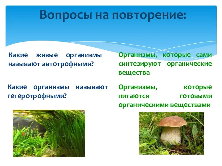 Вопросы на повторение: Какие живые организмы называют автотрофными? Какие организмы называют