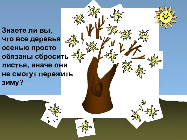 Знаете ли вы, что все деревья осенью просто обязаны сбросить листья,