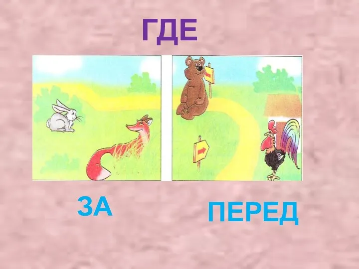 ГДЕ ЗА ПЕРЕД