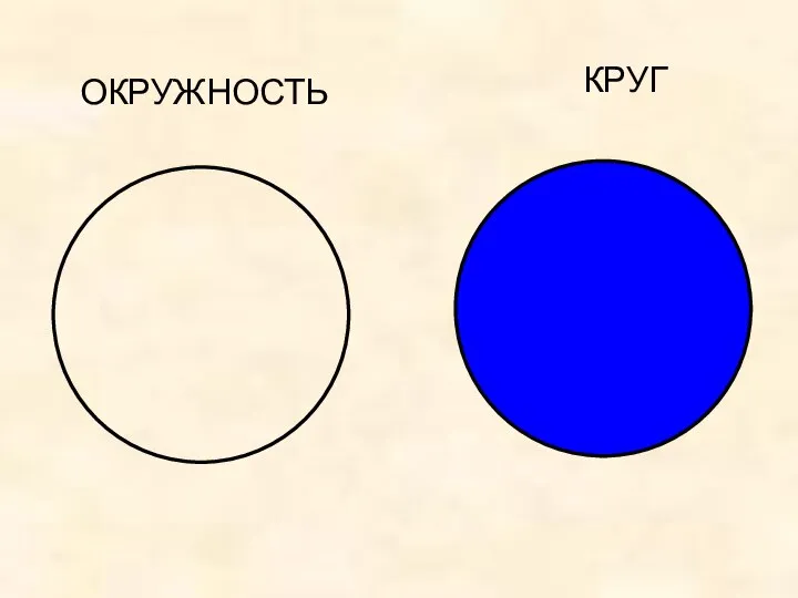 КРУГ ОКРУЖНОСТЬ