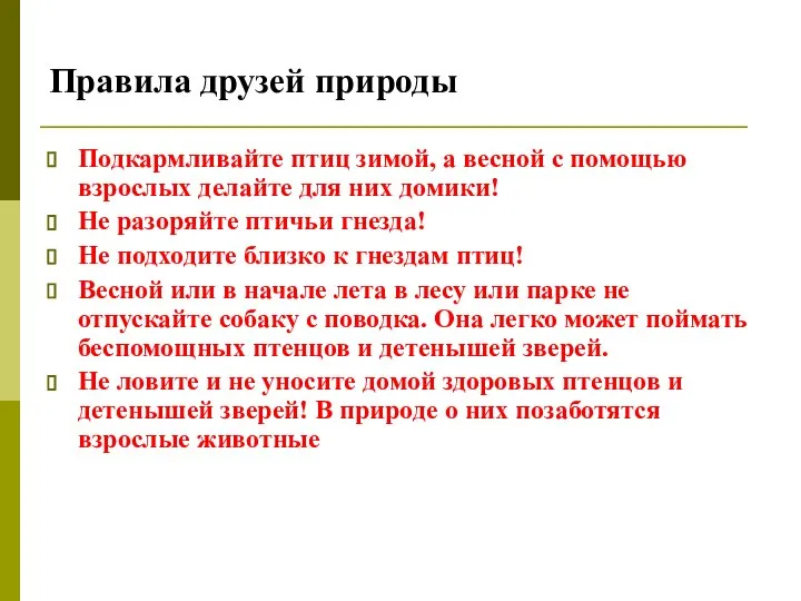 Подкармливайте птиц зимой, а весной с помощью взрослых делайте для них