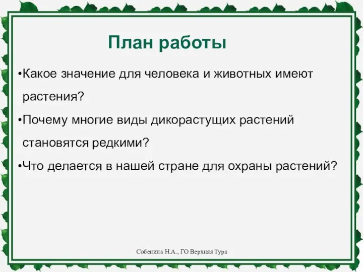 Какое значение для человека и животных имеют растения? Почему многие виды