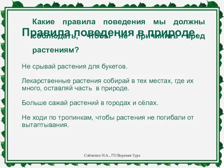 Какие правила поведения мы должны соблюдать, чтобы не причинить вред растениям?