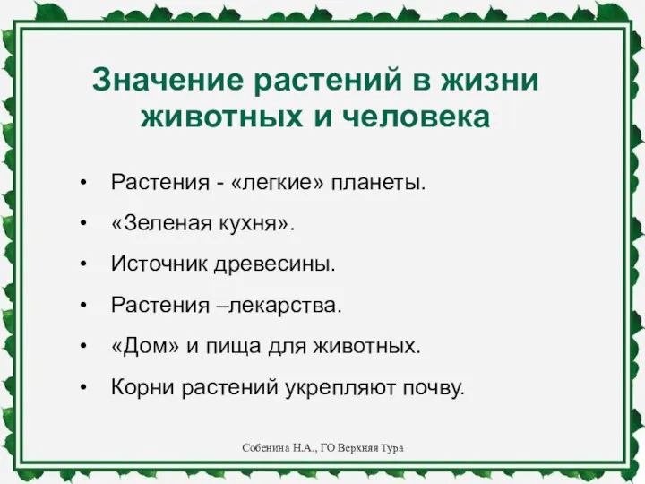 Значение растений в жизни животных и человека Растения - «легкие» планеты.