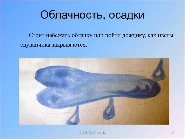 Облачность, осадки Стоит набежать облачку или пойти дождику, как цветы одуванчика