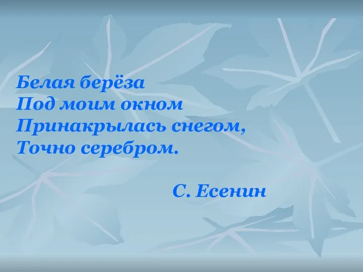 Белая берёза Под моим окном Принакрылась снегом, Точно серебром. С. Есенин