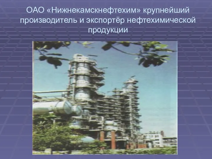 ОАО «Нижнекамскнефтехим» крупнейший производитель и экспортёр нефтехимической продукции