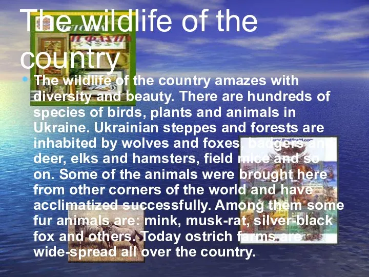 The wildlife of the country The wildlife of the country amazes