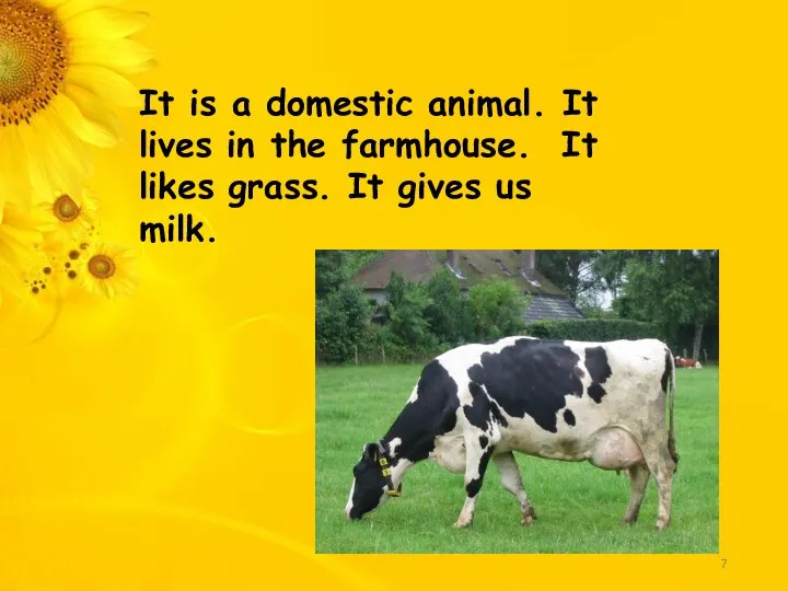 It is a domestic animal. It lives in the farmhouse. It