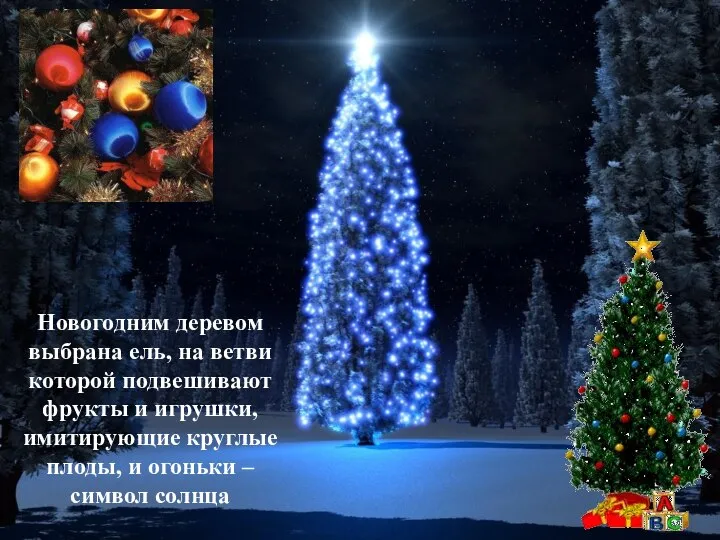 Новогодним деревом выбрана ель, на ветви которой подвешивают фрукты и игрушки,