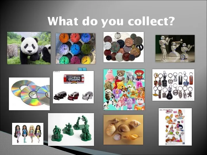 What do you collect?