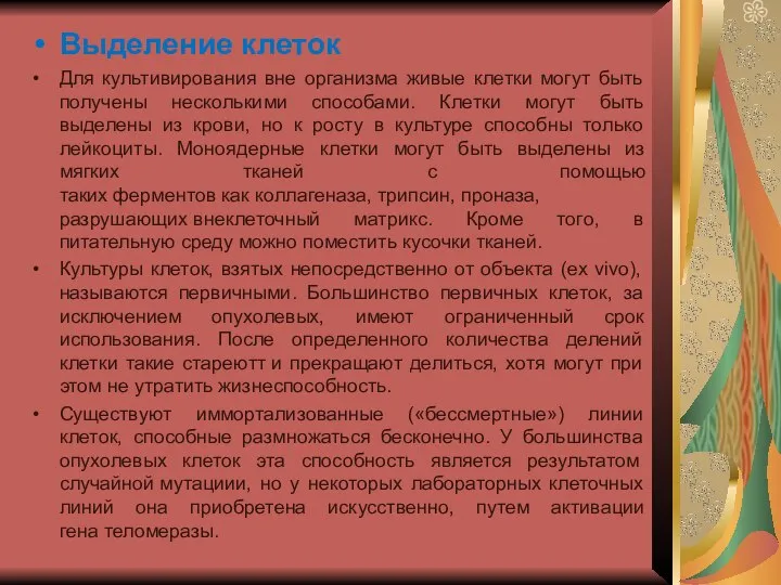 Выделение клеток Для культивирования вне организма живые клетки могут быть получены