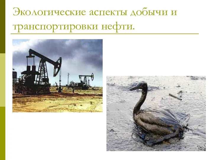 Экологические аспекты добычи и транспортировки нефти.