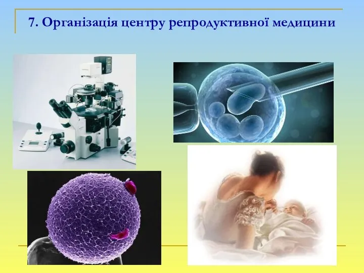 7. Організація центру репродуктивної медицини