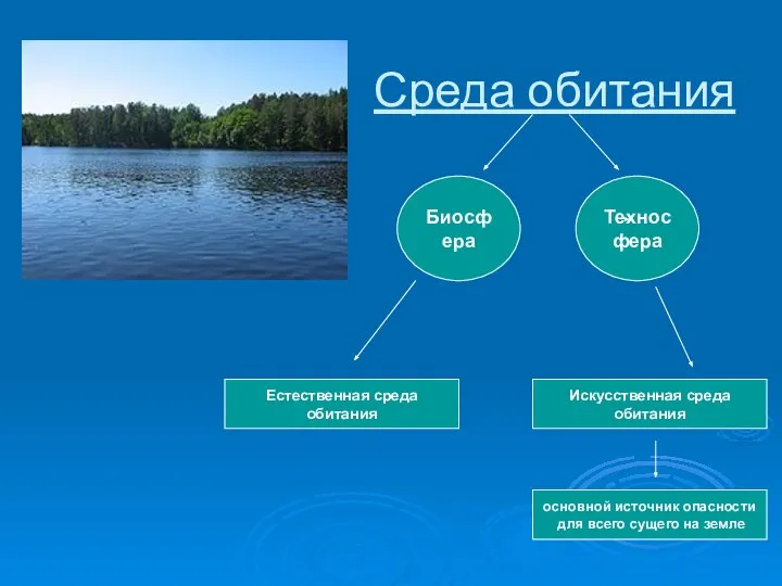 Среда обитания Техносфера Естественная среда обитания Искусственная среда обитания Биосфера основной