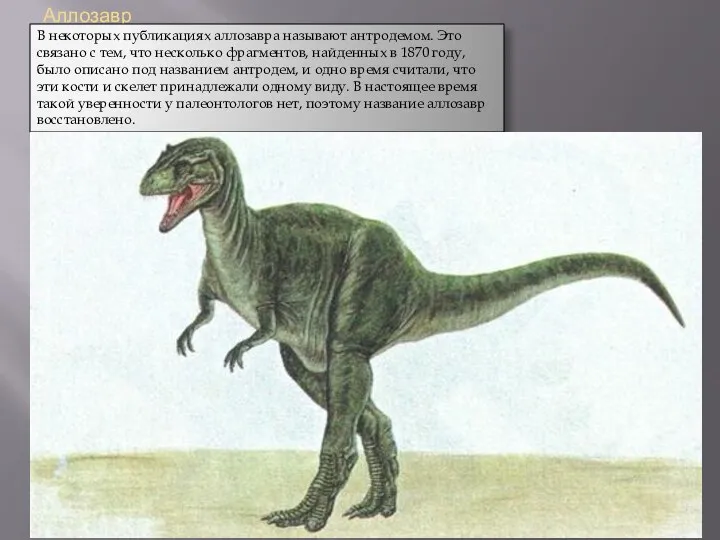 Аллозавр В некоторых публикациях аллозавра называют антродемом. Это связано с тем,