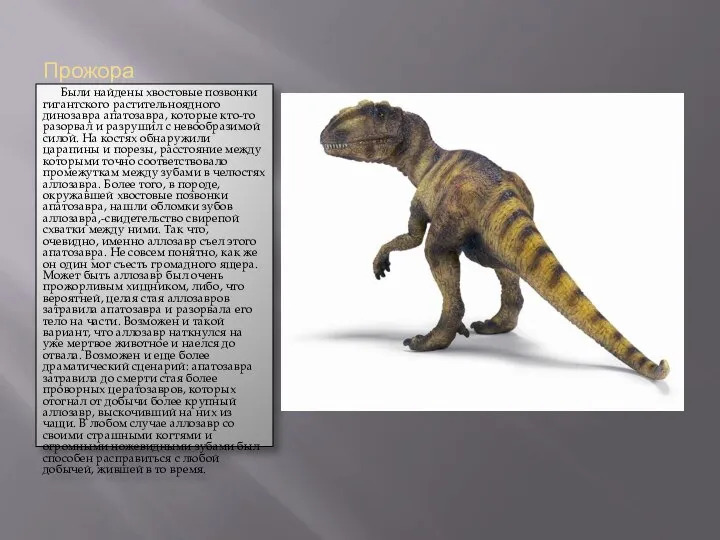 Прожора Были найдены хвостовые позвонки гигантского растительноядного динозавра апатозавра, которые кто-то