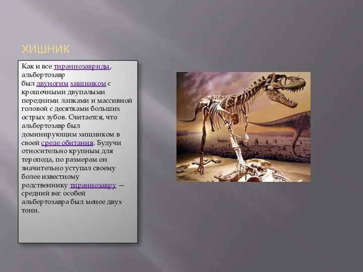 ХИШНИК Как и все тираннозавриды, альбертозавр был двуногим хищником с крошечными