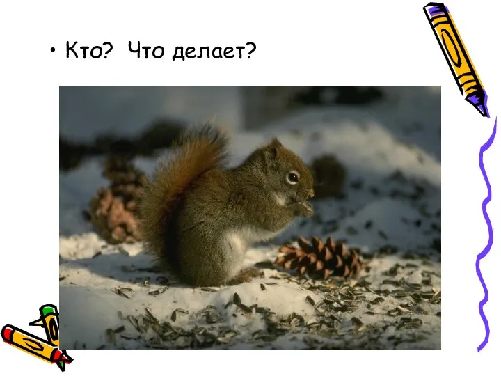 Кто? Что делает?