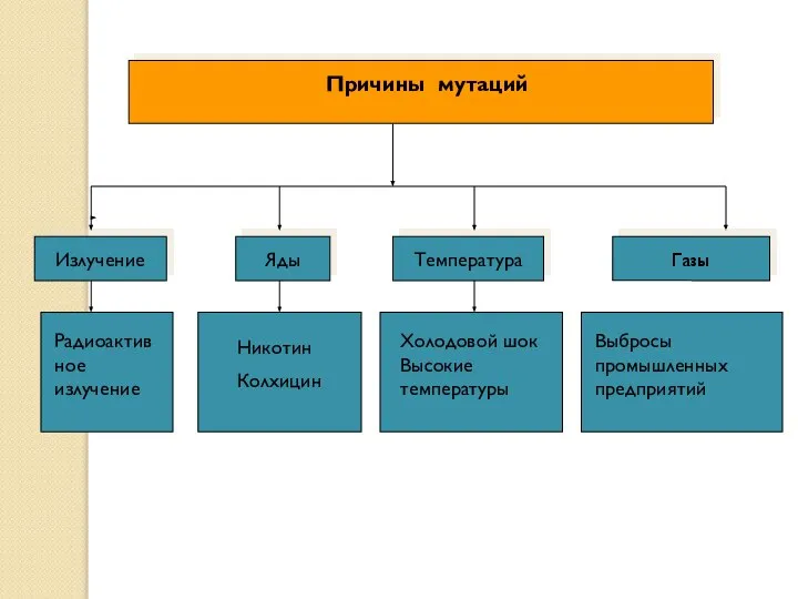 Причины мутаций Излучение Яды Температура Газы Радиоактивное излучение Никотин Колхицин Холодовой