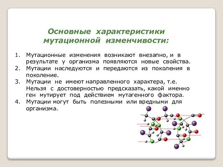 Основные характеристики мутационной изменчивости: Мутационные изменения возникают внезапно, и в результате