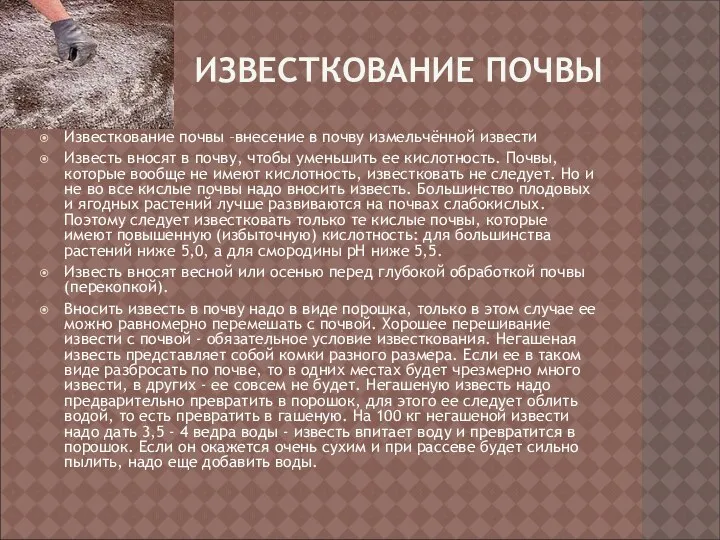 ИЗВЕСТКОВАНИЕ ПОЧВЫ Известкование почвы –внесение в почву измельчённой извести Известь вносят