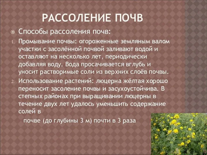 РАССОЛЕНИЕ ПОЧВ Способы рассоления почв: Промывание почвы: огороженные земляным валом участки