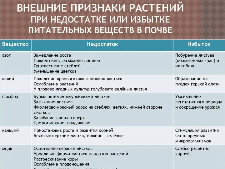 ВНЕШНИЕ ПРИЗНАКИ РАСТЕНИЙ ПРИ НЕДОСТАТКЕ ИЛИ ИЗБЫТКЕ ПИТАТЕЛЬНЫХ ВЕЩЕСТВ В ПОЧВЕ