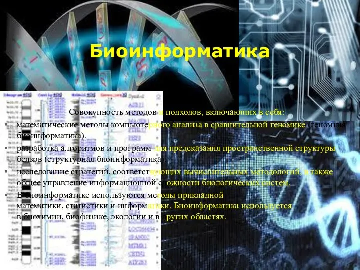 Биоинформатика Совокупность методов и подходов, включающих в себя: математические методы компьютерного