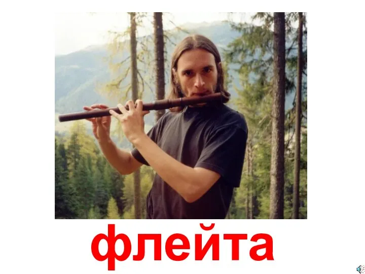 флейта