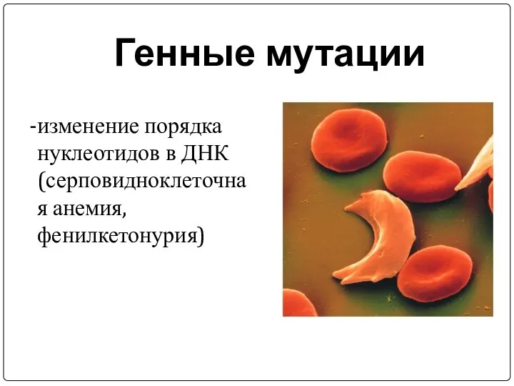 Генные мутации изменение порядка нуклеотидов в ДНК (серповидноклеточная анемия, фенилкетонурия)