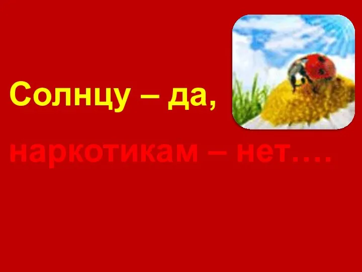 Солнцу – да, наркотикам – нет….