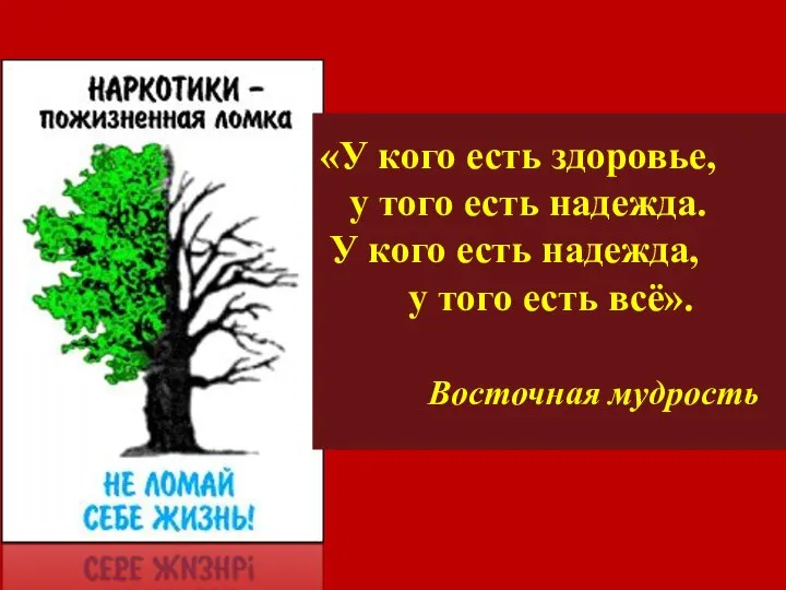 «У кого есть здоровье, у того есть надежда. У кого есть