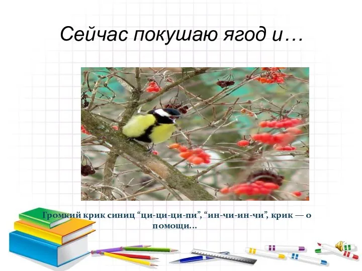 Сейчас покушаю ягод и… Громкий крик синиц “ци-ци-ци-пи”, “ин-чи-ин-чи”, крик — о помощи...