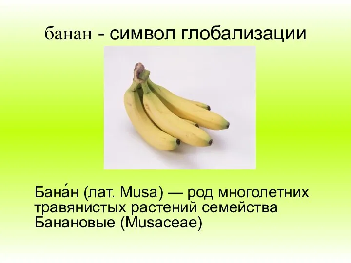 банан - символ глобализации Бана́н (лат. Musa) — род многолетних травянистых растений семейства Банановые (Musaceae)