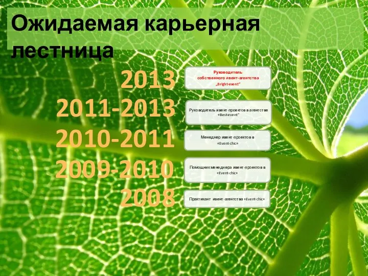 Ожидаемая карьерная лестница 2013 2011-2013 2010-2011 2009-2010 2008