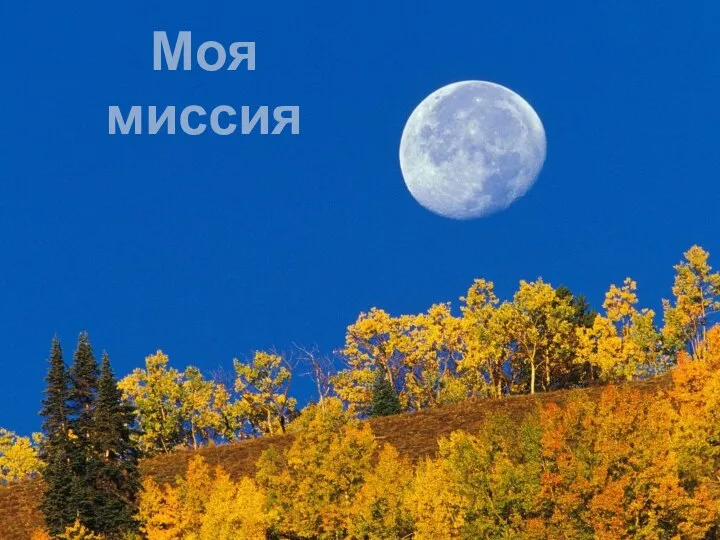 Моя миссия