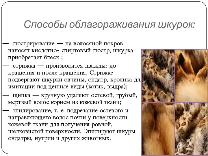 Способы облагораживания шкурок: — люстрирование — на волосяной покров наносят кислотно-